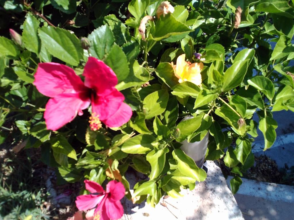 Rodos Paradise Koskinou (Rhodes)